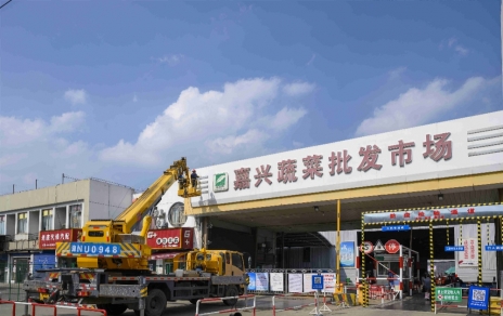 進(jìn)無(wú)止境，“嘉農(nóng)?蔬菜人”